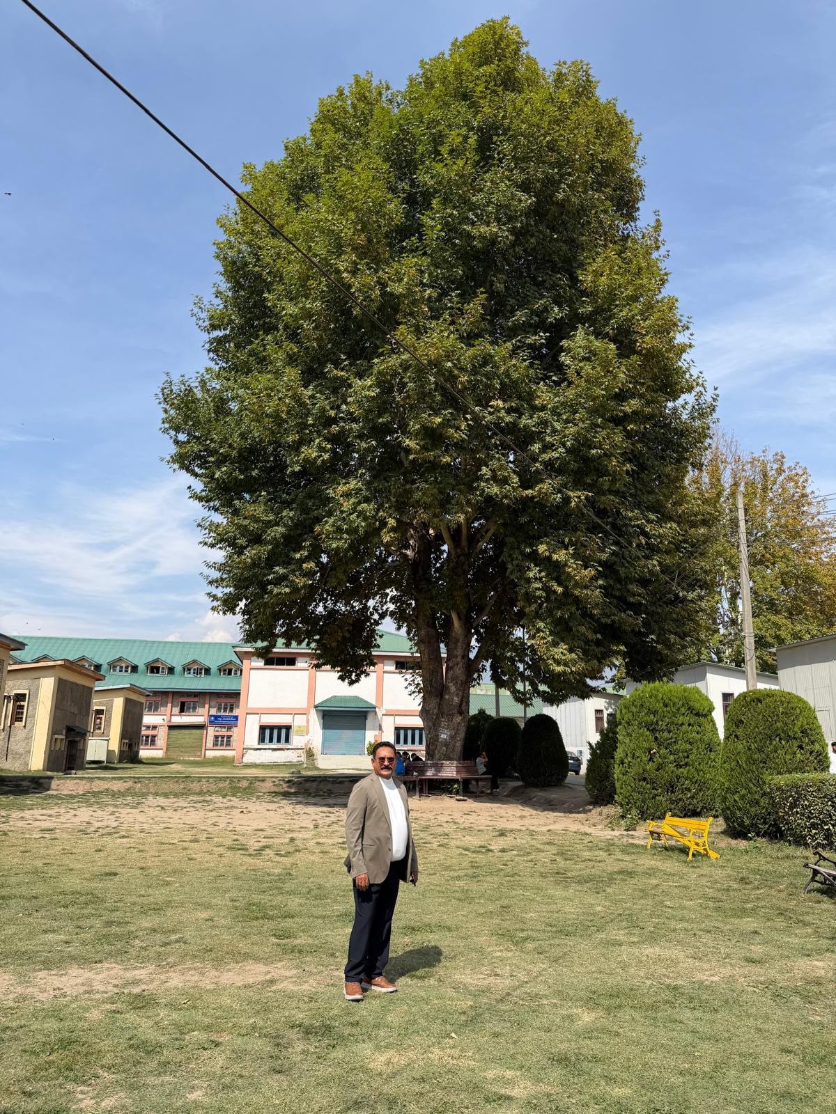 Sundeep Saksena by the old tree on the NIT Srinagar campus lawn